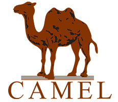 Camel/駱駝